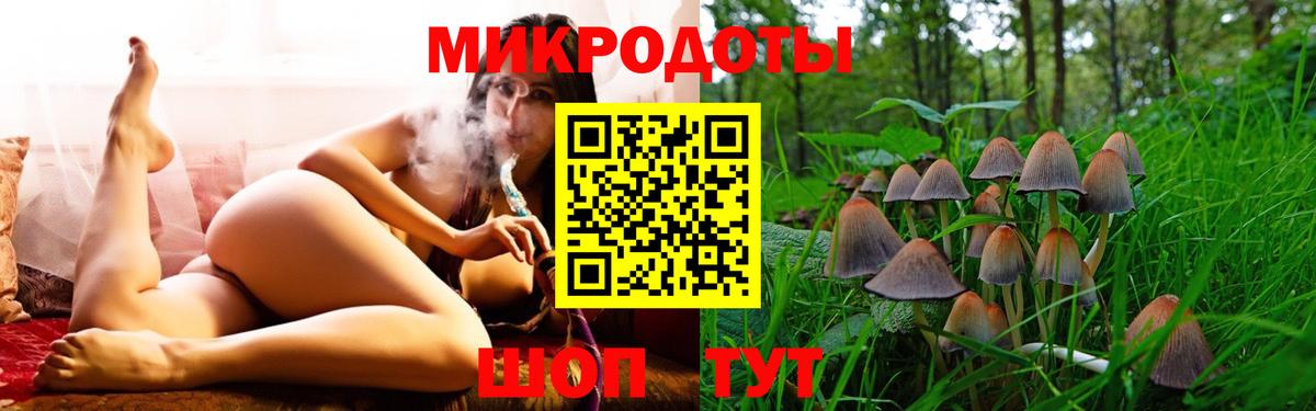 Псилоцибиновые грибы прущие грибы  Вход с VPN  Нижнекамск 